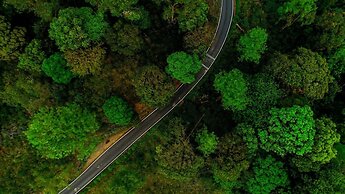 Mistly Plantation Bungalow