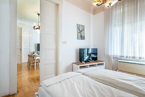 Huge Apartment in the city center