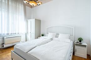 Huge Apartment in the city center