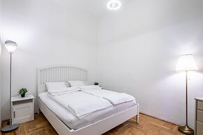 Huge Apartment in the city center