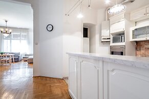 Huge Apartment in the city center