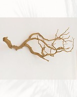 Oyster Bay Boutique Hotel