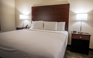 Cobblestone Hotel & Suites - Lamar