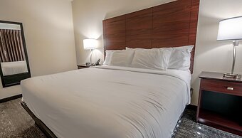 Cobblestone Hotel & Suites - Lamar