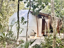 Ku Kuk Glamping