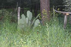 Fark Edenler Camping&Caravan&Bungalows