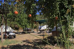 Fark Edenler Camping&Caravan&Bungalows