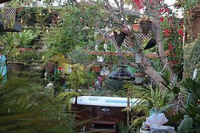 The Green Ginger Guest House