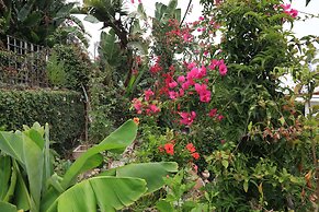The Green Ginger Guest House