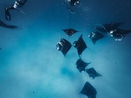 Avani+ Fares Maldives Resort