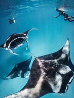 Avani+ Fares Maldives Resort