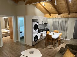 Arial Penthouse Suites