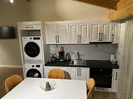 Arial Penthouse Suites