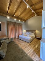 Arial Penthouse Suites