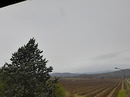 Remarkable 1-bed House in Pieve A Presciano