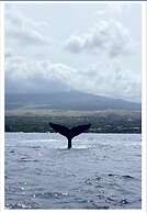 Outstanding Oceanfront Studio - Kona Islander Inn Condos Condo by RedA