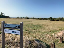 Summer by the Harbour