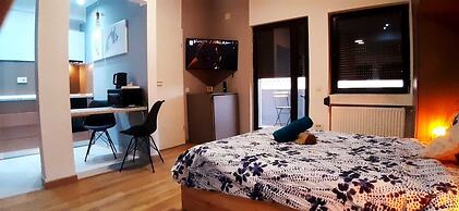 Apartment Lux Rooftop Studio city center