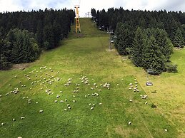 Chalet & Apart Fichtelberger - Blick