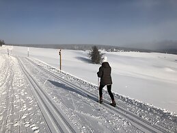 Chalet & Apart Fichtelberger - Blick