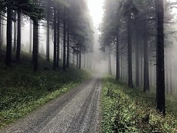 Chalet & Apart Fichtelberger - Blick