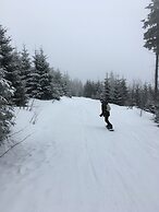 Chalet & Apart Fichtelberger - Blick