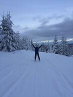 Chalet & Apart Fichtelberger - Blick