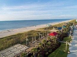 Sea Life - Oceanfront! Pleasure Island Paradise! Lose Yourself In The 