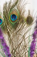 Cataleya Villa Chania