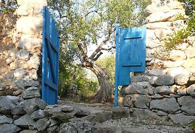 House Lavanda