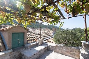 House Lavanda