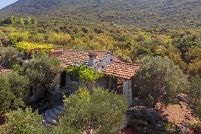 House Lavanda