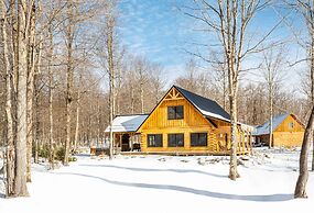 Escape to Wisp Mountain