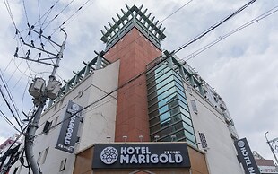 Incheon Marigold