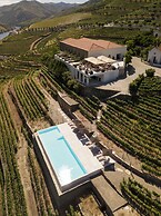 Quinta de São Luiz - The Vine House