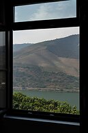 Quinta de São Luiz - The Vine House