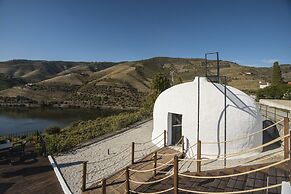Quinta de São Luiz - The Vine House