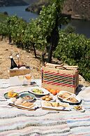 Quinta de São Luiz - The Vine House
