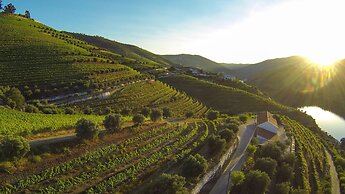 Quinta de São Luiz - The Vine House