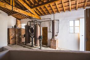 Quinta de São Luiz - The Vine House