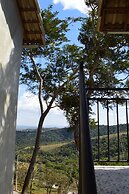 Chalés Estrada Real