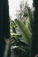 Primus Alacati Adult Only