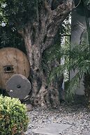 Primus Alacati Adult Only