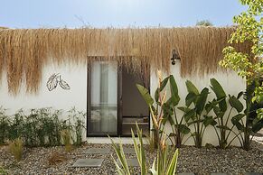 Primus Alacati Adult Only