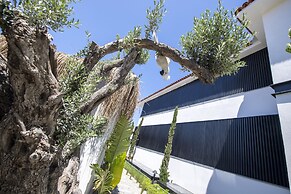 Primus Alacati Adult Only