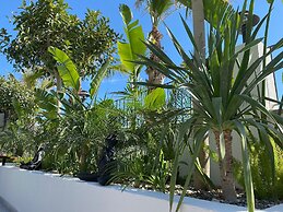 Primus Alacati Adult Only