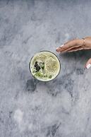 Primus Alacati Adult Only