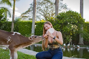 Hotel Campestre Café Café