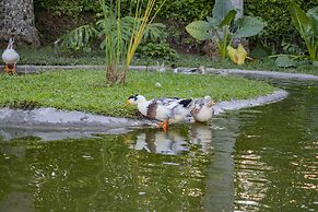 Hotel Campestre Café Café