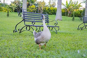 Hotel Campestre Café Café